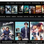 Vegamovies HDHub4u: Everything You Need to Know